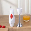 RAF R255W Hand Blender 300W